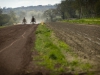 ffx8954