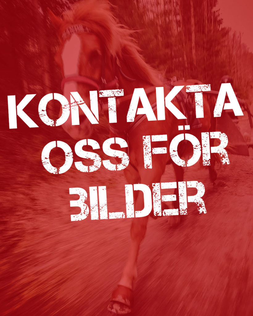 kontaktaoss