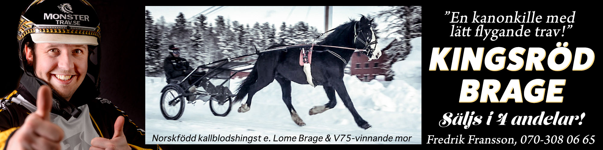 Kingsröd Brage