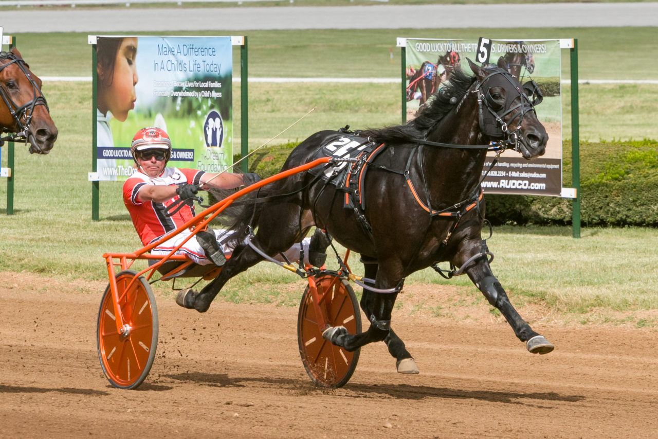 haydenhanover